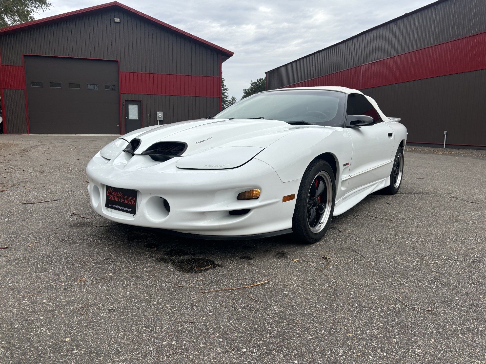 1998 Trans Am Image