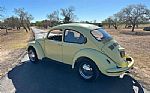 1971 Beetle Thumbnail 36