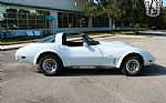 1979 Corvette Thumbnail 21