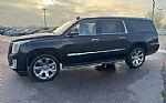 2019 Escalade ESV Thumbnail 13