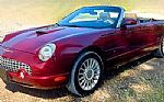 2004 Ford Thunderbird