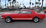 1964 Mustang Thumbnail 6