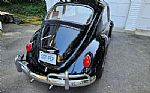 1967 Beetle Thumbnail 3