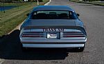 1977 Trans AM Thumbnail 4