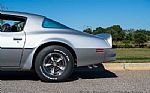 1977 Trans AM Thumbnail 21