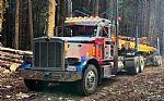 2000 Peterbilt 379