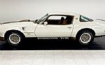 1979 Firebird Macho TA Trans Am Thumbnail 2