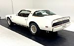 1979 Firebird Macho TA Trans Am Thumbnail 3