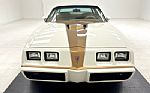 1979 Firebird Macho TA Trans Am Thumbnail 8