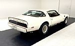 1979 Firebird Macho TA Trans Am Thumbnail 5