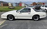 1986 Firebird Thumbnail 6