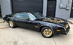 1976 Firebird Trans Am Thumbnail 2