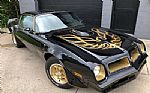 1976 Firebird Trans Am Thumbnail 4