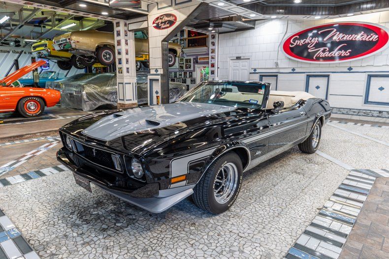 1973 Mustang Image