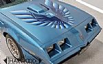 1979 Trans Am Thumbnail 11