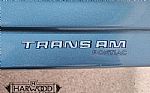 1979 Trans Am Thumbnail 16