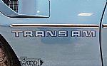 1979 Trans Am Thumbnail 18