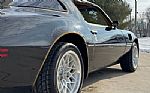 1979 Trans Am Thumbnail 4