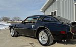 1979 Trans Am Thumbnail 3