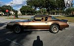 1978 Firebird Thumbnail 14