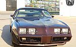 1981 Firebird Thumbnail 10