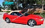 1994 Mustang SVT COBRA Thumbnail 36