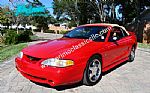 1994 Mustang SVT COBRA Thumbnail 42