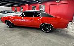 1972 Chevelle Thumbnail 19