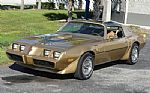 1979 Trans Am WS6 with T-Tops Thumbnail 8