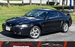 2001 Ford Mustang Cobra