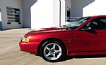 1998 Mustang SVT Cobra Thumbnail 5