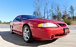 1998 Mustang SVT Cobra Thumbnail 14