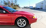 1998 Mustang SVT Cobra Thumbnail 13