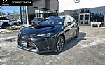 2021 Lexus UX