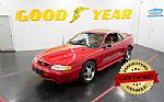 1994 Ford Mustang Cobra Convertible Pace