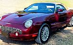 2004 Thunderbird Thumbnail 2