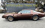 1979 Trans Am Thumbnail 6
