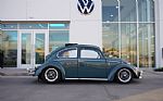 1966 Beetle Thumbnail 4