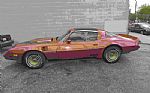 1980 Trans Am Thumbnail 3
