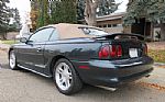 1998 Mustang GT Thumbnail 3
