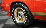 1979 Camaro Z28 Thumbnail 48