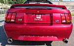 1999 Mustang Thumbnail 13