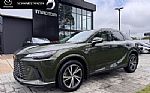 2024 RX Thumbnail 1