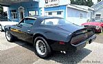 1981 Trans Am Thumbnail 4