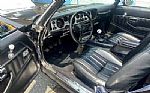 1981 Trans Am Thumbnail 13