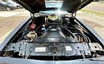 1981 Trans Am Thumbnail 18