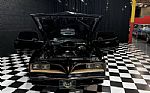 1978 Firebird Trans Am Thumbnail 7