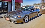2001 Mustang SVT Cobra Thumbnail 1