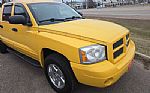 2006 Dakota Thumbnail 3