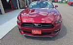 2015 Mustang Thumbnail 5